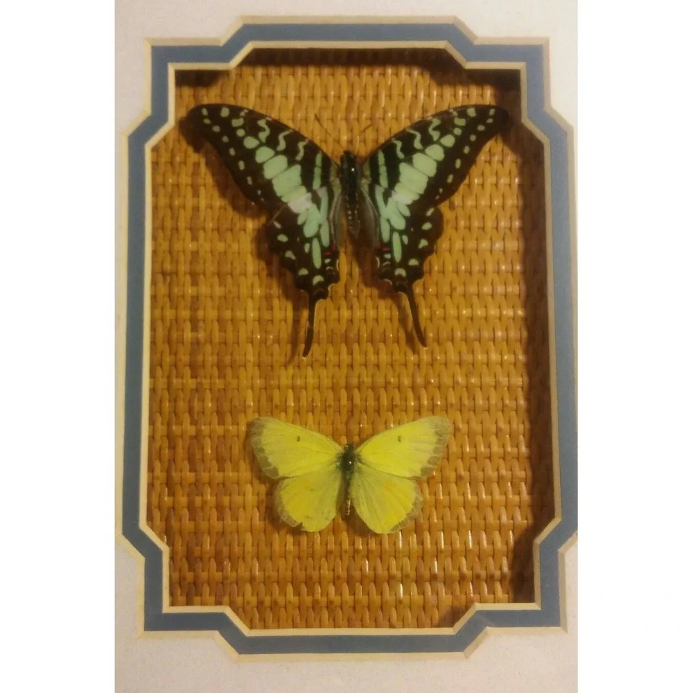 Butterfly Mounts - in 9.5 x 11.5